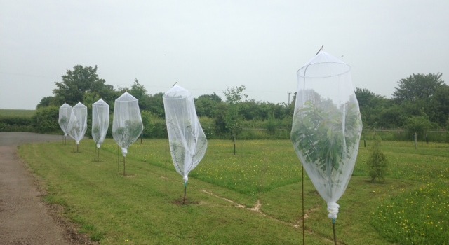 5 different ways to use your Mosquito Net